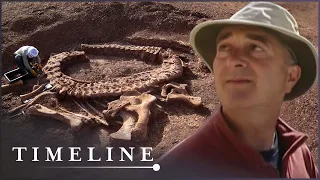 The Hunt For Dinosaur Fossils In The Rocky Mountains | Dinosaur Hunt: A Time Team Special | Timeline