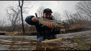 FLY FISHING for BIG TROUT | The most unexpected day of trout spey fishing I've ever had