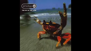 Rocking Rob's Music Review: Fat Of The Land The Prodigy