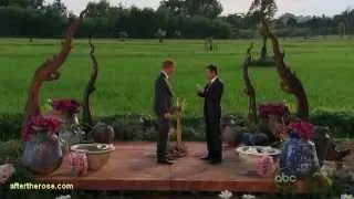 Bachelor 17 Finale Preview