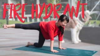 Try this Berczy Park inspired yoga pose called the Fire Hydrant: Yoga Moves