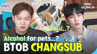 [C.C.] CHANGSUB going camping with his dog🐶 #BTOB #CHANGSUB #KEY