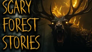 6 SCARY FOREST STORIES | PARK RANGER, SKINWALKER, DOGMAN, DEEP WOODS, CRYPTIDS