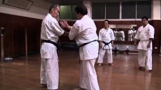 Taira Sensei Concepts 7 - Seipai Opening