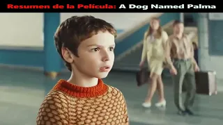 Resumen de la Película: A Dog Named Palma
