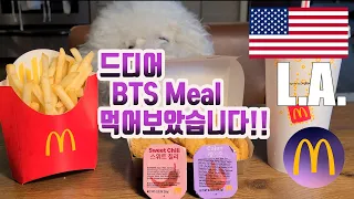 💜[ENG SUB] 미국 LA 맥도날드 방탄 세트 BTS meal  McDonald's!! 맥도날드 어플에 방탄소년단이 숨어있어요!! #보라해💜