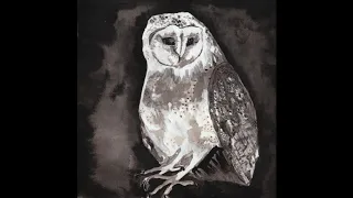 Cosmo Sheldrake - Owl Song