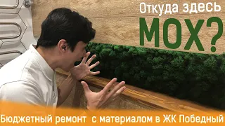 Стабилизированный мох в бюджетном ремонте с материалом в Краснодаре