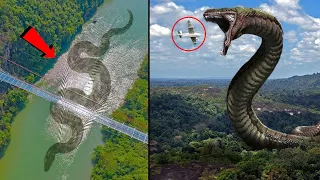 13 Monstruos MORTALES Encontrados En el Rio Amazonas 😨