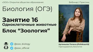 ОГЭ по Биологии | Занятие 16 | Одноклеточные животные | Преподаватель - Артемьева Полина