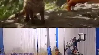 The shooting of jungle book