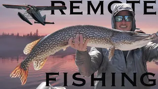 INSANE Wilderness Fly In Fishing - Full Documentary