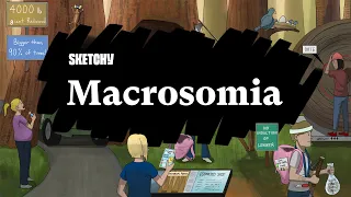 Macrosomia Overview (Part 1) | Sketchy Medical