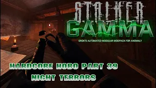 Stalker: GAMMA Hardcore Hobo Pt 39