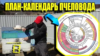 КЛЮЧЕВЫЕ МОМЕНТЫ НА ПАСЕКЕ ВЕСНОЙ. КАЛЕНДАРЬ ПЧЕЛОВОДА. ДЛЯ НАЧИНАЮЩИХ ПЧЕЛОВОДОВ 6-21