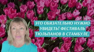 Аэропорт Абу Даби. Вечерняя прогулка по набережной. Еда в Турции. Фестиваль тюльпанов в Стамбуле.