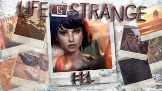 Прохождение Life is Strange #1 - Хризалида: Кошмар