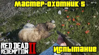 Прохождение RDR 2 на 100% - Испытание: Мастер-охотник 5 (Глава 2 - Нагорье Подкова)