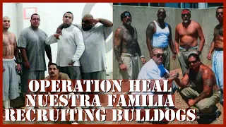 OPERATION HEAL…NUESTRA FAMILIA RECRUITING BULLDOGS IN THE FEDS???#youtube #new #viral #viralvideo #