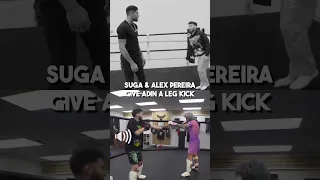 Alex Pereira & Sean O'Malley Leg Kicking Adin Ross