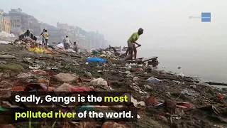 Coronavirus Lockdown makes Ganga Crystal Clear | Clean Ganga | Naman For Nature