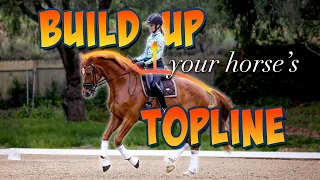 Training and Nutrition for Your Horse's Topline