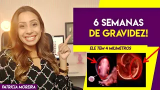 INÍCIO DA GRAVIDEZ - 6 SEMANAS | Boa Gravidez