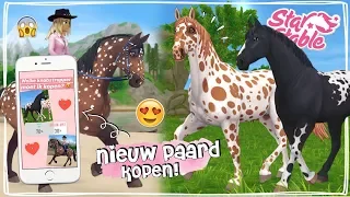 KIJKERS BEPALEN WELK NIEUW PAARD IK KOOP!! 😍 - Update | Star Stable Online | Daphne draaft door