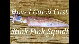 How I Cut & Cast Stink Pink Squid!