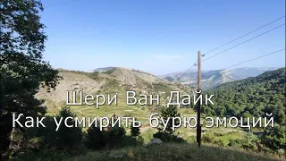 Глава 1 Шери Дайк Ван Как усмирить бурю эмоций