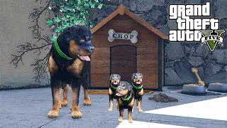 CHOP the DOG has PUPPIES!!! (GTA 5 Mods)
