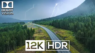 Dynamic Colors 12K HDR 60FPS | Dolby Vision
