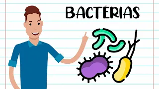 Resumo - BACTÉRIAS