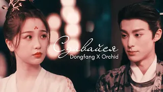 Dongfang & Orchid I Сдавайся I Разлука Орхидеи и Повелителя Демонов