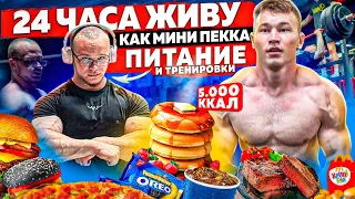 РАЦИОН МИНИ ПЕККИ | 5.000 ККАЛ+