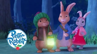 Peter Rabbit - Dash In The Dark