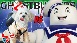 Funny dog vs Stay Puft Ghostbusters the doggy edition Marshmallow man Halloween Time