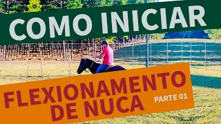 Como Iniciar FLEXIONAMENTO DE NUCA no Cavalo. PARTE 01.