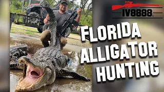 Hunting Alligators in Okeechobee Florida!
