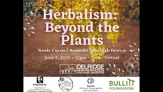 Herbalism: Beyond the Plants