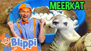 Learn Zoo Animals for Kids with Blippi | A Day at the Zoo | Educational Videos for Kids