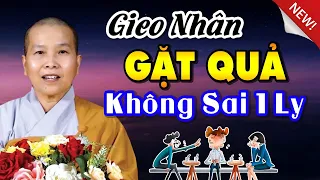 Đời Người Gieo Nhân Nào Gặt Quả Đấy, Nhân Quả Không Bỏ Quên Ai | SC. Thích Nữ Như Lan