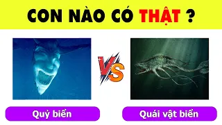 Top 17 Câu Hỏi Chỉ Dành Cho Những Ai Có Tố Chất Là 1 Chuyên Gia Thám Hiểm Mới Giải Được | Nhanh Trí