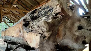 Full videos || Monster neraka !! Kayu terbesar yang pernah ada didunia digergaji sawmill