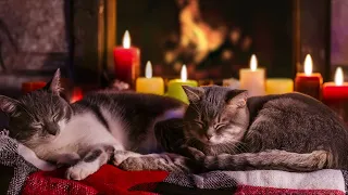Crackling Fireplace with Cat Purring Sounds🔥Cats Sleep Video 4K. Sleeping Cat by Fireplace Noises 4k