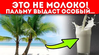 Выведи производителя на чистую воду! Как определить пальмовое масло в молоке, сыре, сметане...