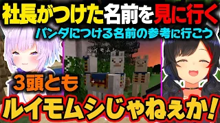 おかゆ社長が付けた動物の名前を見に行くミオしゃ。酷いネーミングに爆笑するｗ【大神ミオ/ホロライブ/ホロライブ切り抜き】