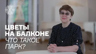 Цветы на балконе. Марина Владимировна Куликова. Что такое парк?