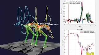 Weightlifting biomechanics