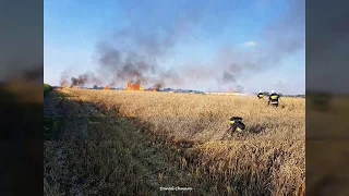 OSP Błonie alarmowo pożar kombajnu i zboża na polu